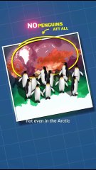 Switzerland’s WWII Survival 🇨🇭 | How a Neutral Nation Stayed Safe During War 🏔️