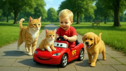 Misunderstood Puppy Rescues Kitten from Car Accident #ViralPets  #puppyrescue #mamacat