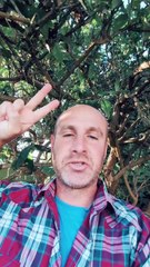 2 Hidden Secrets to Pinterest Growth