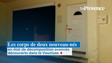 Les corps de deux nouveau-nés en état de décomposition avancée découverts dans le Vaucluse