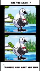 can you find | find the difference