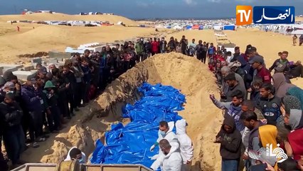 فلسطين: فصل جديد من فصول المعاناة بغزة.. مطاردة للأحياء وتدنيس لجثامين الشهداء