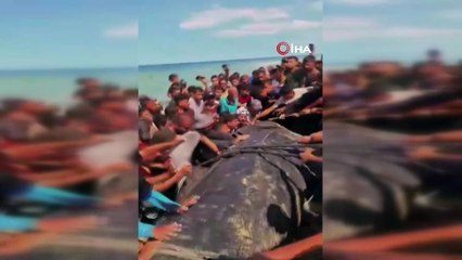 Gazze'de kıyıya vuran 2 tonluk dev şaşkına çevirdi