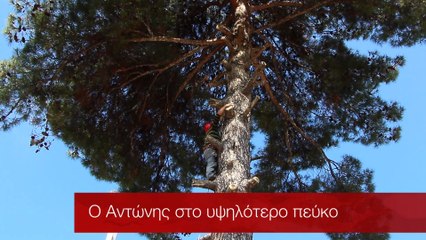 Ο Αετός της Δράμας