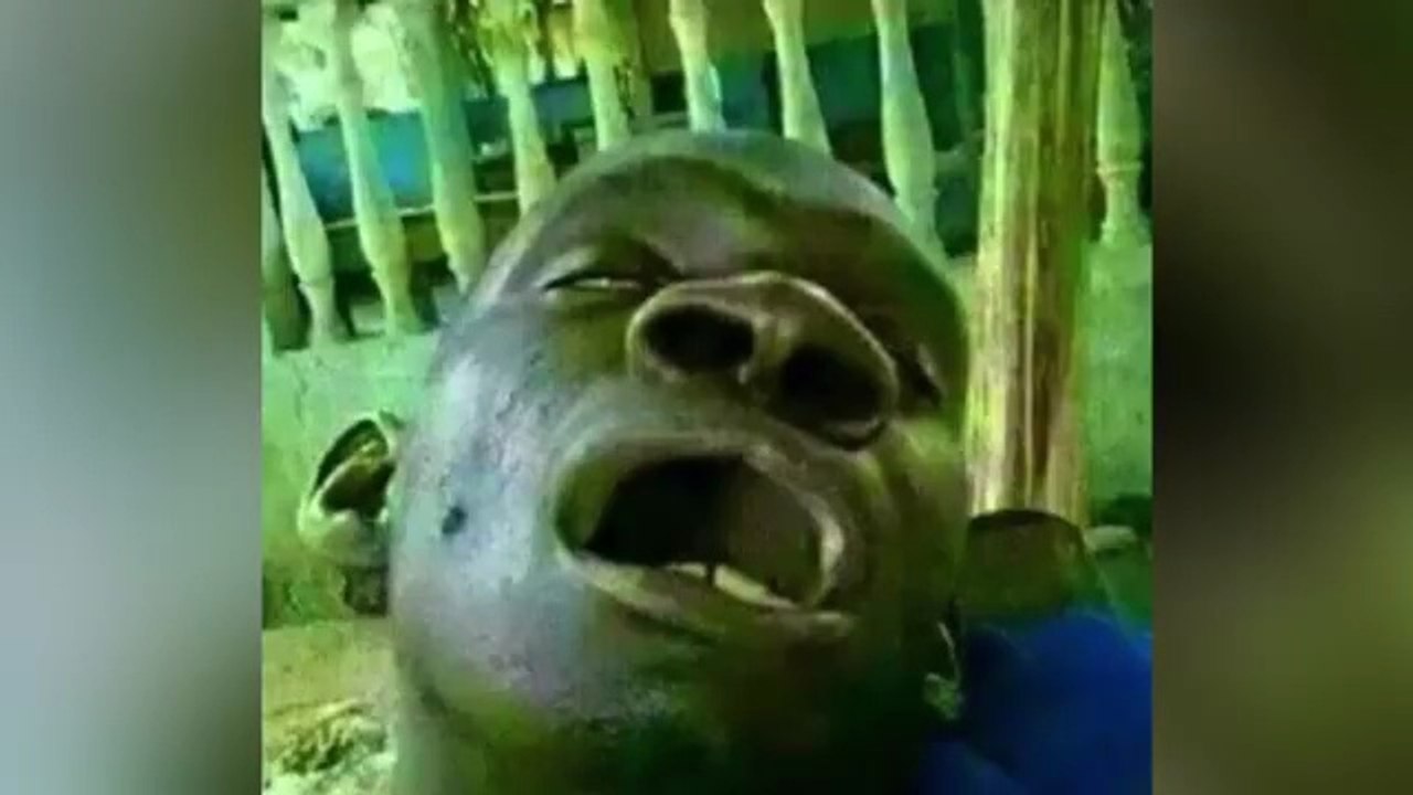 Extreme Try Not To Laugh Challenge