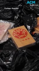 $260m drug bust: police seize 415kg of drugs and firearms in Sydney raids