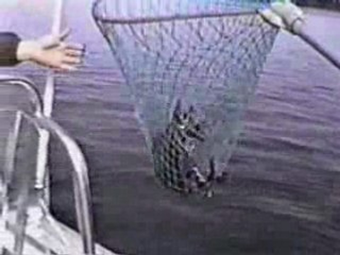 HISTOIRE DE PECHE