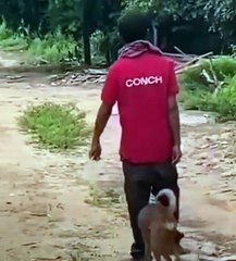 Trends Vidéo #fyp #like #short #food #eating #eati