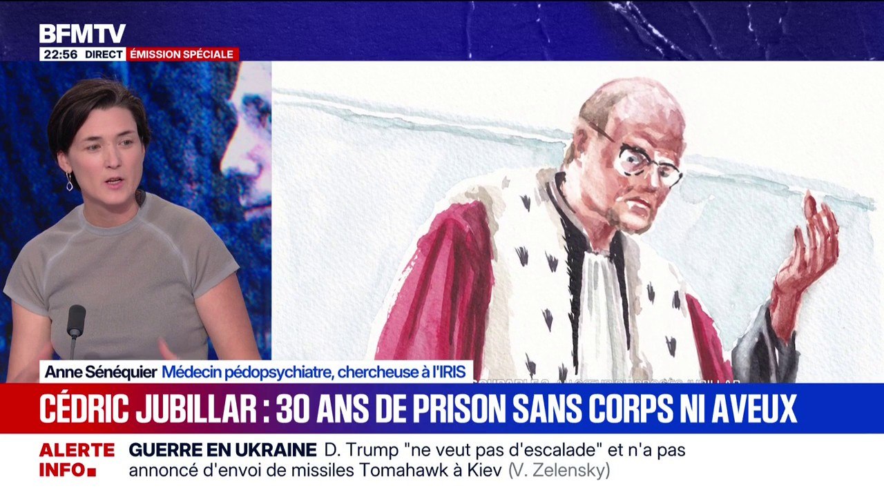 Condamnation de Cédric Jubillar: "Il va falloir se servir de ce procès pour avoir un virage dans la parole des enfants dans les violences conjugales", explique Anne Sénéquier, médecin pédopsychiatre