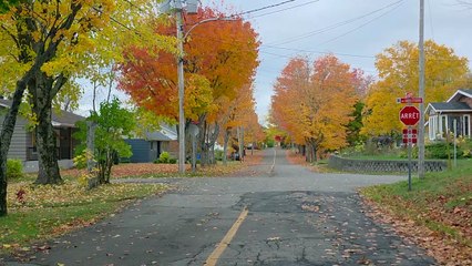 17 OCT Topo PG Candidats elections New Carlisle