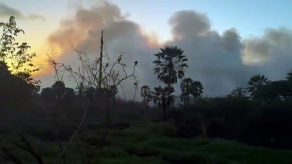 Incêndio em área de vegetação atinge proximidades do Rio Cocó