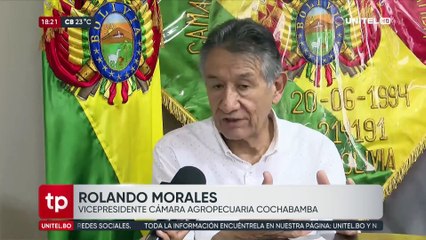 Programa Telepaís Edición Tarde, Viernes 17 de octubre del 2025