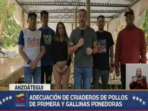 Gobierno Bolivariano impulsa los criaderos de pollos y gallinas ponedoras en Anzoátegui