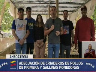 Gobierno Bolivariano impulsa los criaderos de pollos y gallinas ponedoras en Anzoátegui