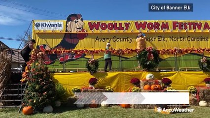 Fast & Furry-ous: Woolly Worm Festival Roars Back After Helene