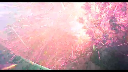 Big Rock Burning Documentary Movie