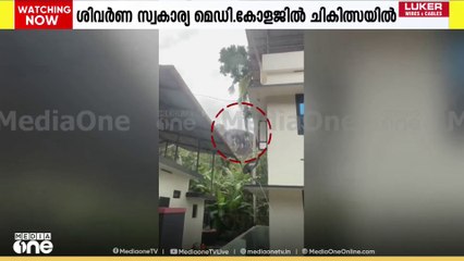 മരുത മലയിൽ നിന്ന് താഴേക്ക് ചാടി; ശിവർണ മെഡി. കോളജിൽ ചികിത്സയിൽ
