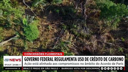 Governo federal libera uso de créditos de carbono em concessões florestais