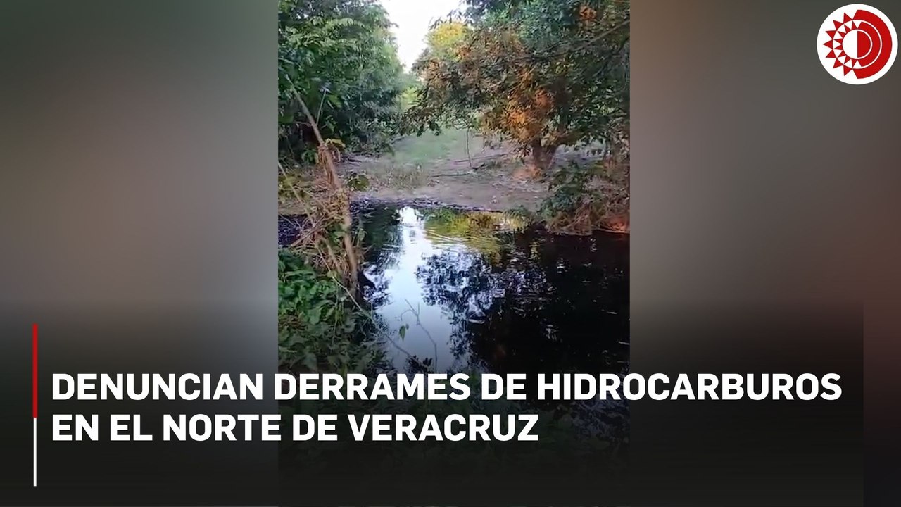 Denuncian derrames de hidrocarburos en el norte de Veracruz