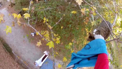 Animals In Predicaments; Animal Fails ¦ FailArmy