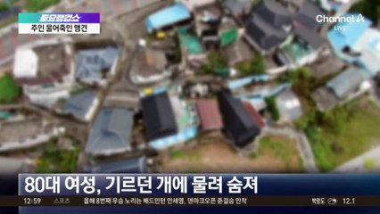 기르던 맹견에 물려 숨져…사육허가 안 받아