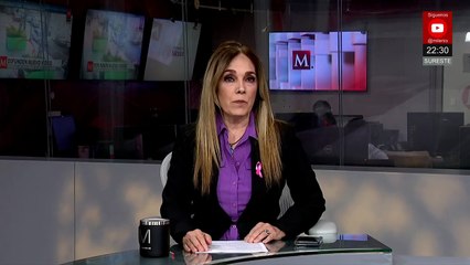 Tres mexicanos mueren en Michigan tras desplome de aeronave privada con matrícula nacional