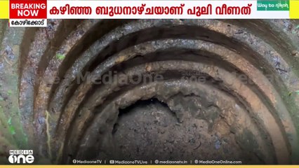 Koodaranji Tiger | 'കിണറ്റിൽ വീണത് പുലി തന്നെ...'