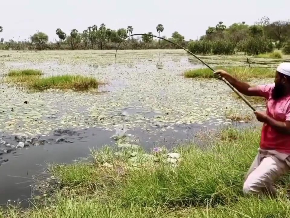 really most satisfying hook fishing video