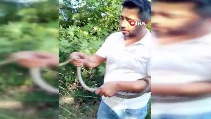 Konteynere kimse giremedi, o elleriyle yakaladı! ‘Yılancı Kemal’ yine iş başında