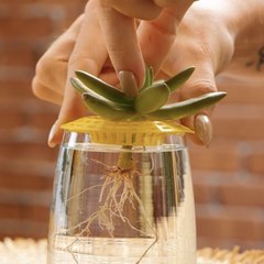 Ces ASTUCES de jardinage sont de l'or pur ! Même MAMIE est impressionnée !