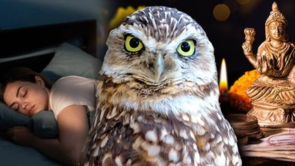 Diwali 2025: दिवाली की रात सपने में उल्लू दिखना शुभ है या अशुभ | Sapne Me Ullu Dekhna Kaisa Hai