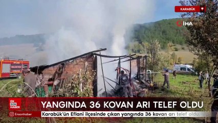Karabük'te yangında 36 kovan arı telef oldu