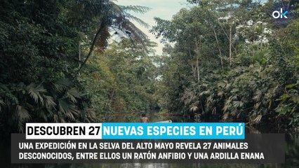 Conmoción en la comunidad científica por el descubrimiento de 27 nuevas especies en la selva de Perú