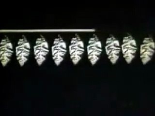 Commercial Chesterfield Cigarettes They satisfy