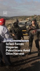 Israeli Forces Disperse Palestinians Amid Olive Harvest