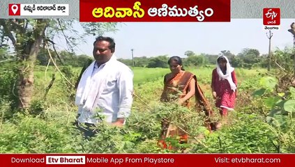 YUVA : అరుదైన ఘనత సాధించిన ఆదివాసీ యువతి - అక్కడ ఎంబీబీఎస్​ సీటు సాధించిన తొలి విద్యార్థినిగా రికార్డు