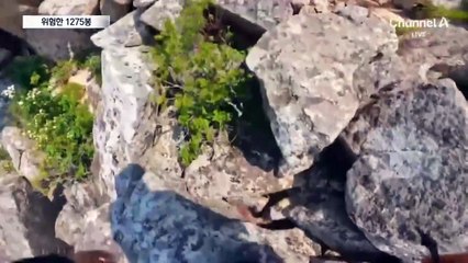 아름다운 ‘설악산 1275봉’, 출입 금지된 비법정탐방로