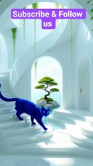 blue cat diving in the water #funny #catvideos #cat