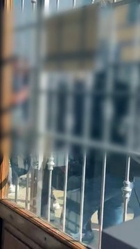 Pisa-Verona, scontri tra ultras