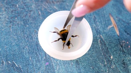 Diy jewelry for absolute beginners