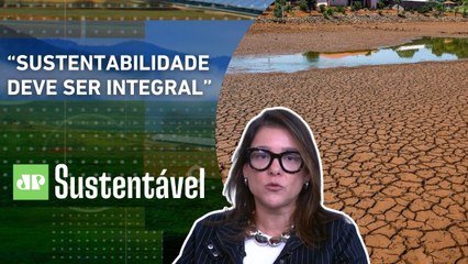Pacto da ONU: Cuidado das empresas e a crise do clima | JP SUSTENTÁVEL