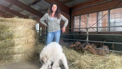 "Vi racconto il rapporto meraviglioso tra animali e bambini"