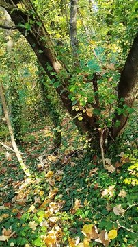 Seconde séance d'entrainement de cross