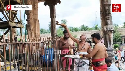 தஞ்சை பெரிய கோயிலில் சனிப்பிரதோஷ சிறப்பு அபிஷேகம்: பக்தர்கள் தரிசனம்!