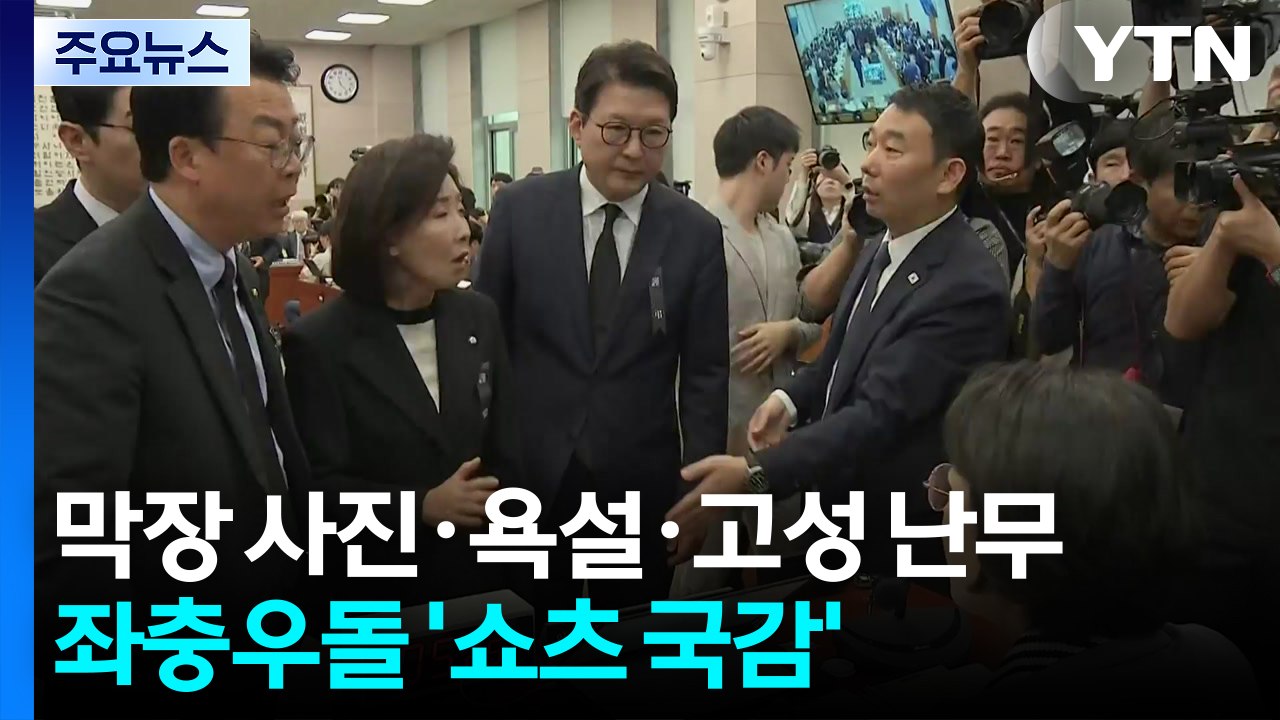 막장 사진·욕설·고성 난무...좌충우돌 '쇼츠 국감' / YTN