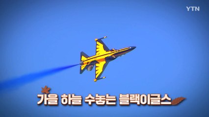 [영상구성] 서울 ADEX 2025 개막, 가을 하늘 가른 블랙이글스 / YTN