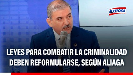 Leyes para combatir la criminalidad deben reformularse, según gral. Aliaga