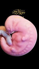 Peaceful Qur’an Recitation of Surah Ar-Rum | Heart-Touching & Soothing 🕋📖