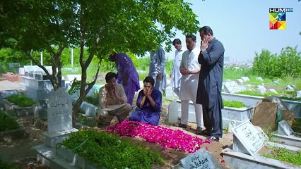 Laadli Last Episode (Episode 85) – Heartfelt Finale of the Popular Drama