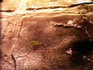 Jim Henson's The Storyteller S01E07 Sapsorrow